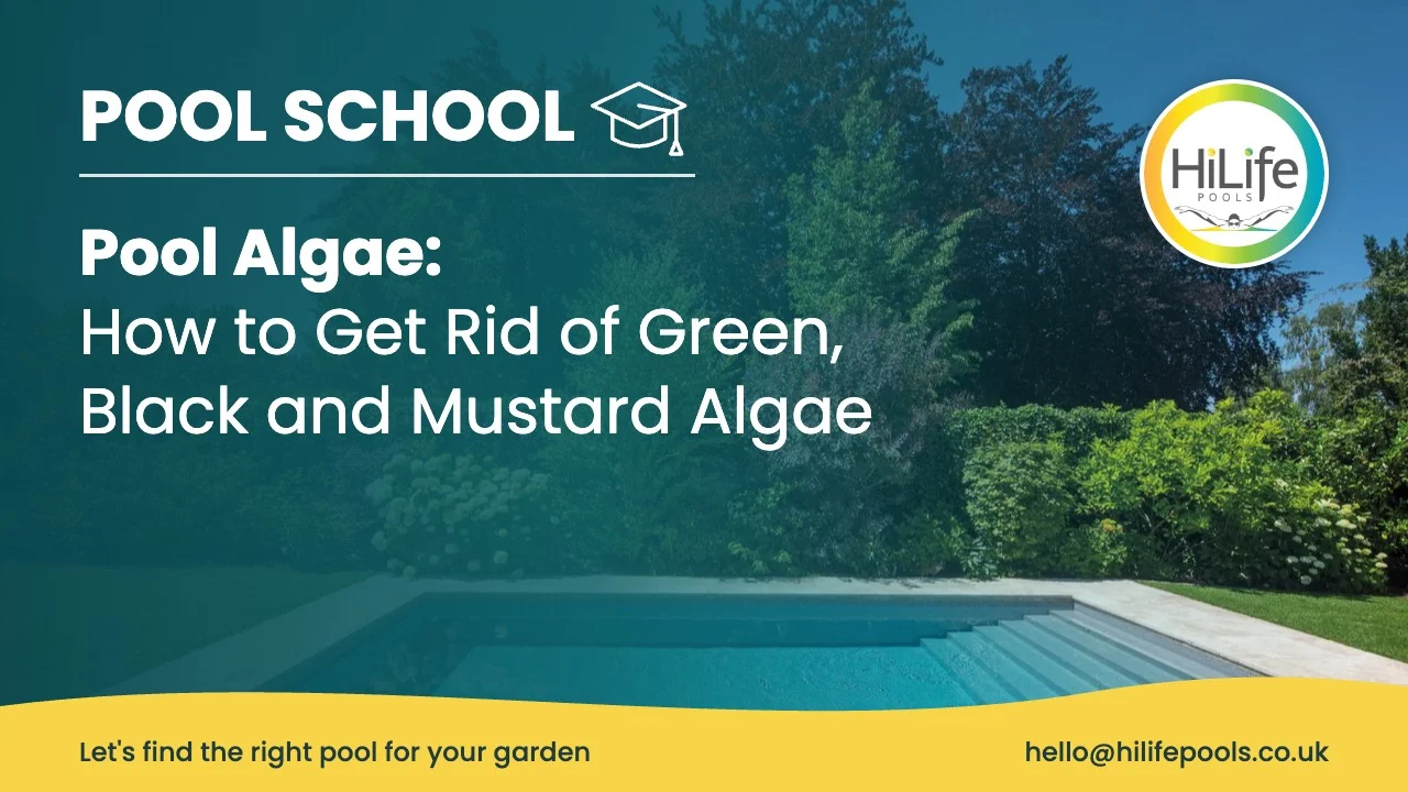 Pool algae guide from HiLife Pools, with a clear pool beside a lawn and mature trees